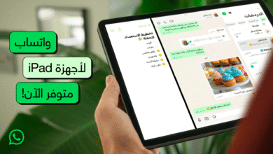 498202576 665185666328219 6189153248367952316 n