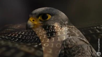 UAE bets on Falcon Arabic AI to challenge Meta and Alibaba