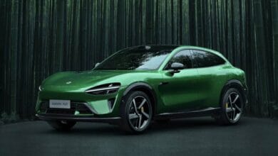 WhatsApp Image 2025 05 24 at 12.44.30 PM