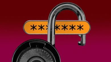 STK453 PRIVACY B CVirginia