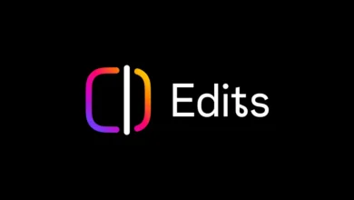 488504991 695256619703087 2867537079521317717 n