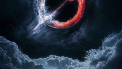 جروك يتسبب بانكشاف محادثات أكثر من ٣٠٠ ألف مستخدم