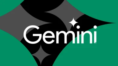 STK255 Google Gemini D