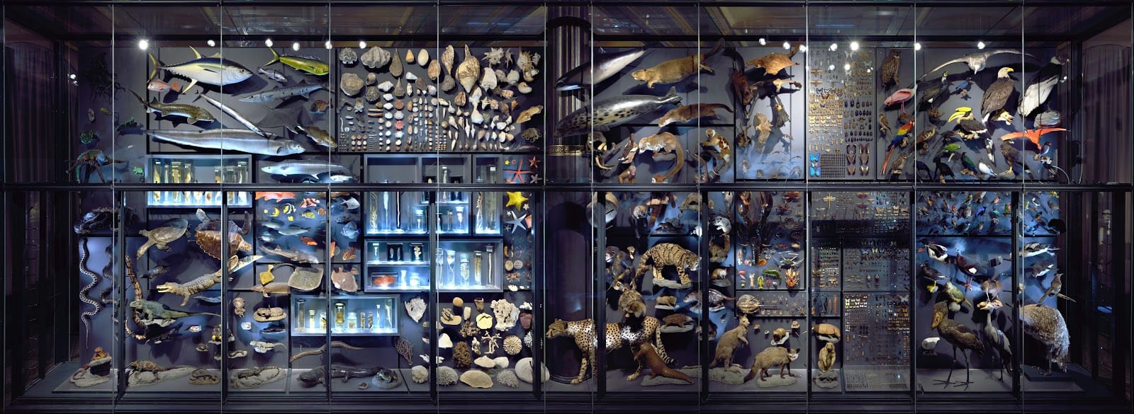 جولات فنية لا تُنسى مع "Google Arts & Culture"