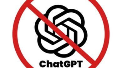 456700350 864844278492977 2215708303317051108 n