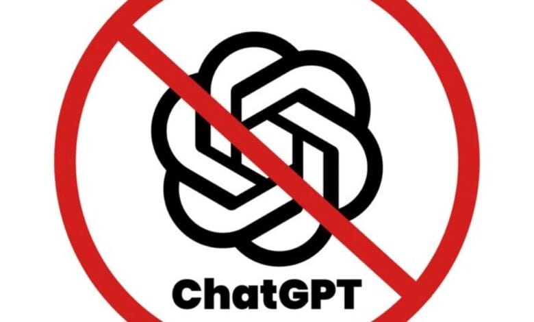 456700350 864844278492977 2215708303317051108 n