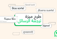 550657826 1998393537593386 6353502033816099207 n
