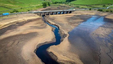 Thumbnails for IE articles UK Drought action includes deleting emails an files