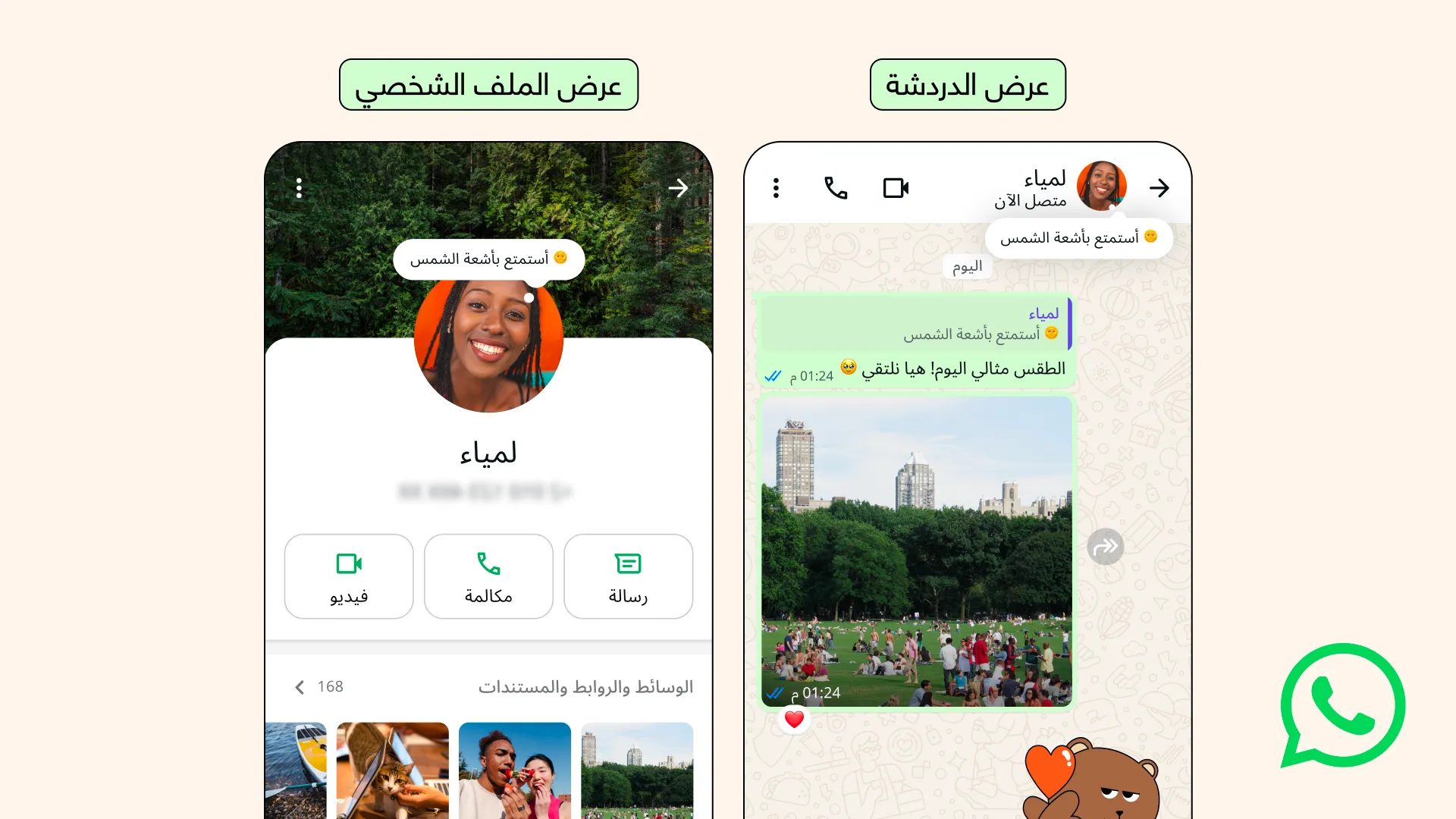 ميزة "حول": تحديث واتساب الجديد لزيادة التعبير داخل التطبيق 2 580189002 848592424535214 3644977814953760496 n