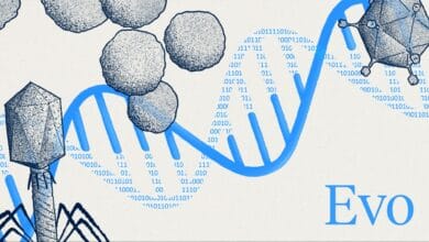 65ddf048fae7529c2700d069 image4