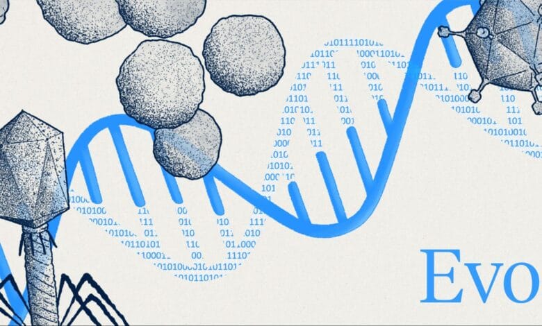 65ddf048fae7529c2700d069 image4