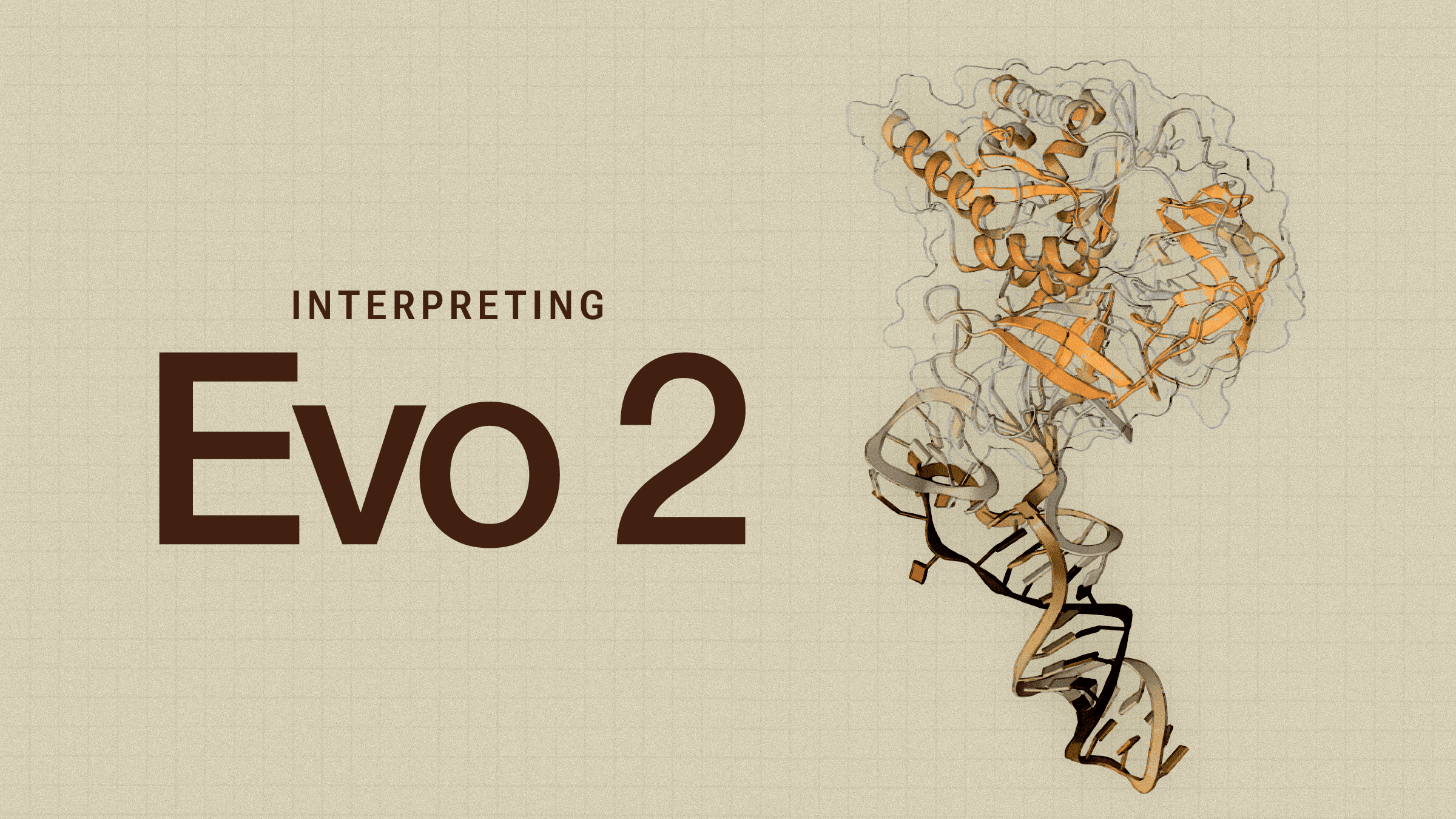 67b662becb54f14407e5ec0f interp evo 2 min