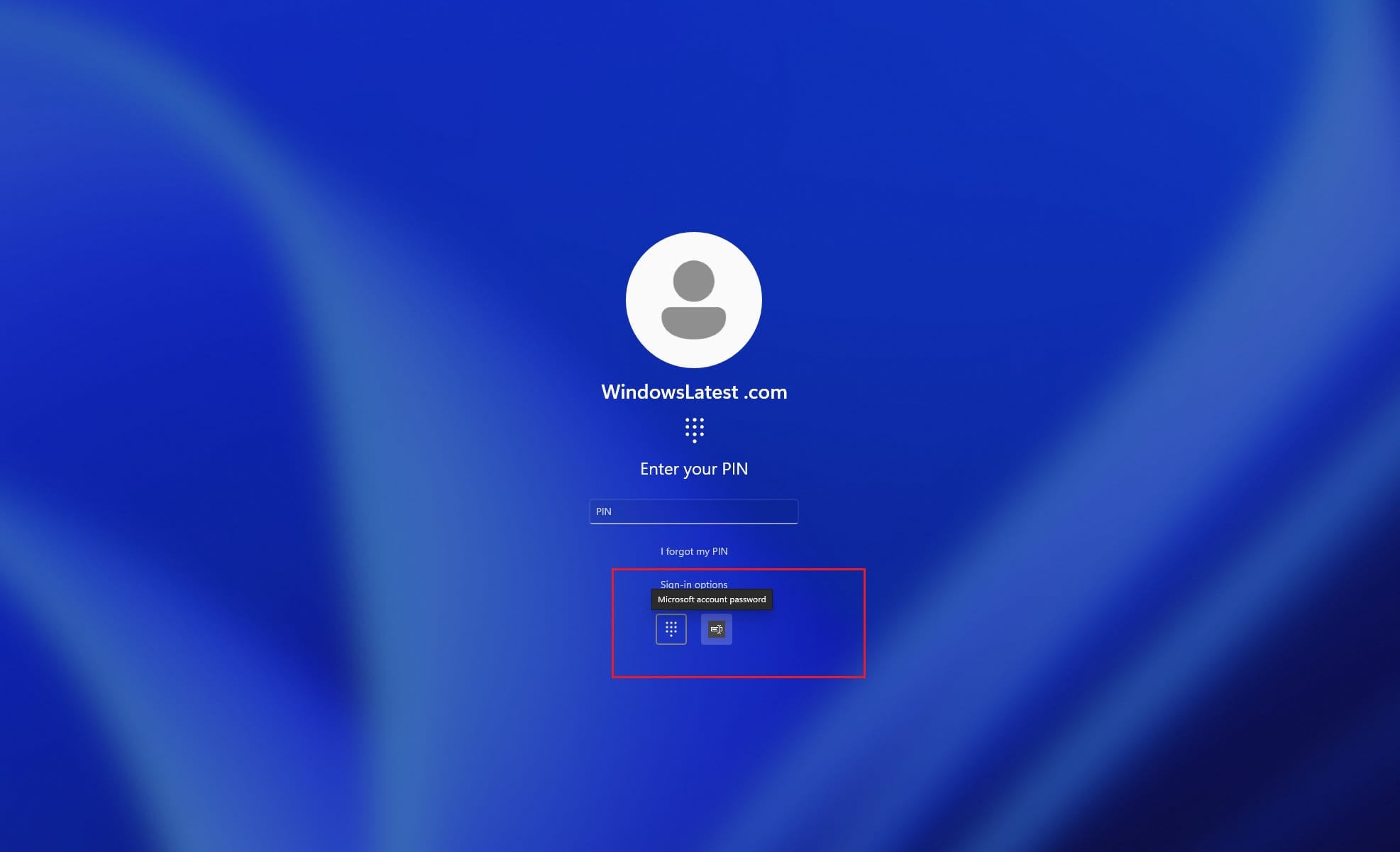 Windows 11 login screen password issue
