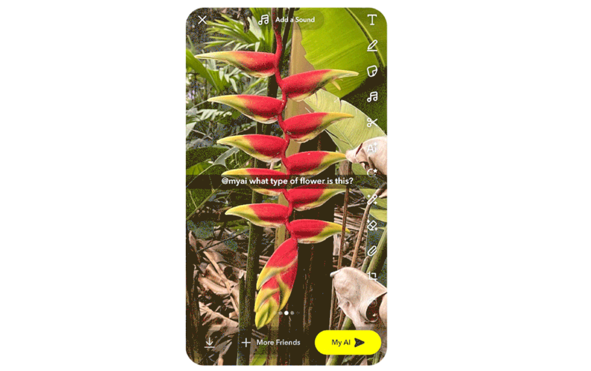 ذكاء بيربلكستي متاح الآن لمستخدمي سناب شات 2 snapchat ai tool