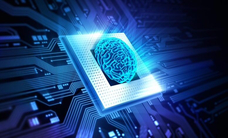 هل "الحوسبة الحيوية" و"الذكاء العضوي" مفاهيم واقعية أم خيال علمي؟