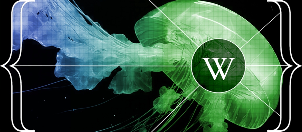 رئيس ويكيميديا: عام 2026 سيشهد تحولاً جذرياً في طريقة البحث عبر الإنترنت، المعرفة التي ينتجها البشر ركيزة أساسية لاغنى عنها في عصر الذكاء الاصطناعي