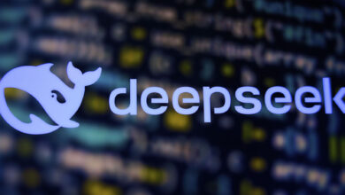 deepseek butoday feat crop