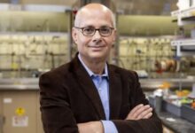 3f9201a0 a469 11f0 928c 71dbb8619e94.jpg