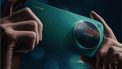 IMG ٢٠٢٦٠٢٢٤ ١٤٢٨٣٤